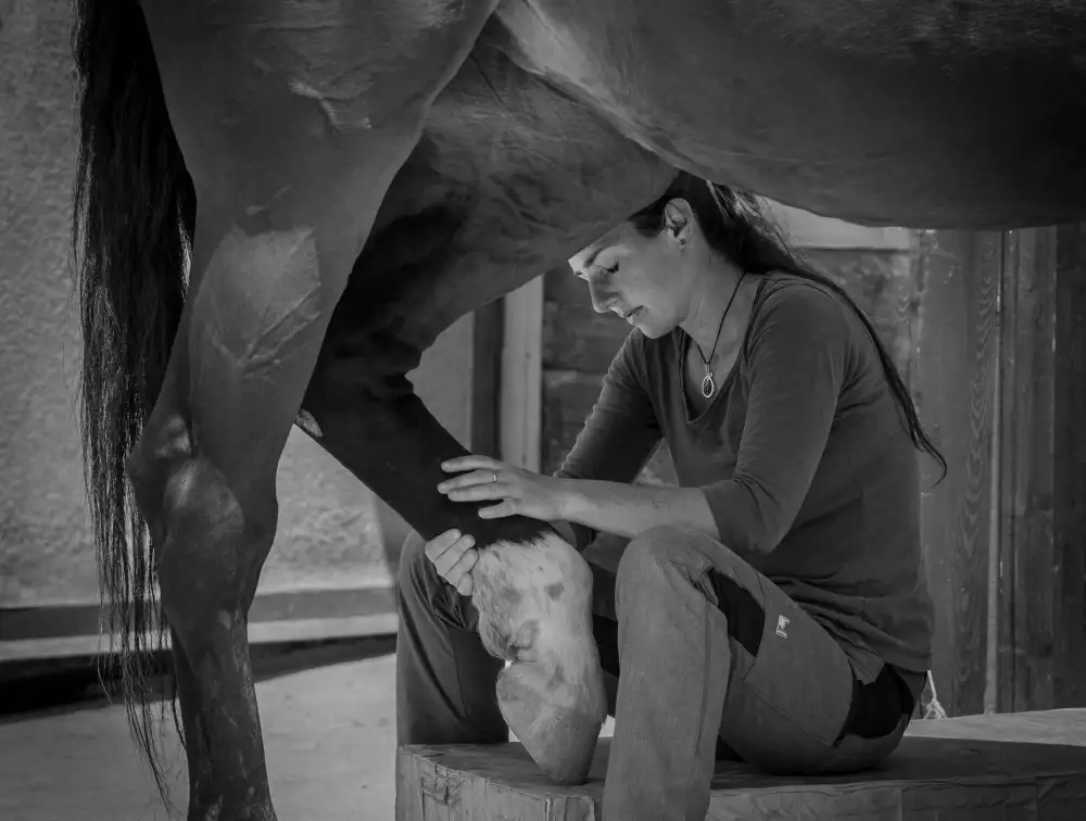 Graf, Sebastian: Girl treats horse