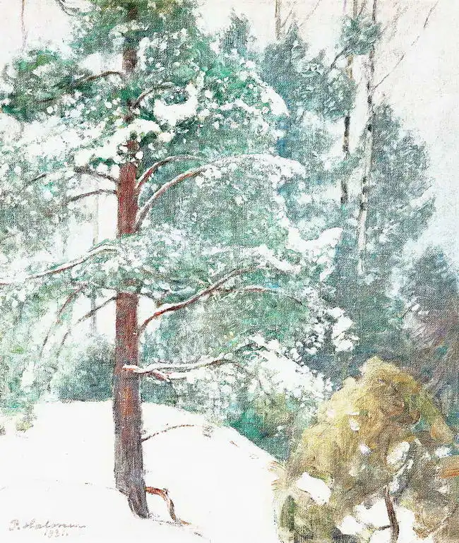 Halonen, Pekka: Borovice
