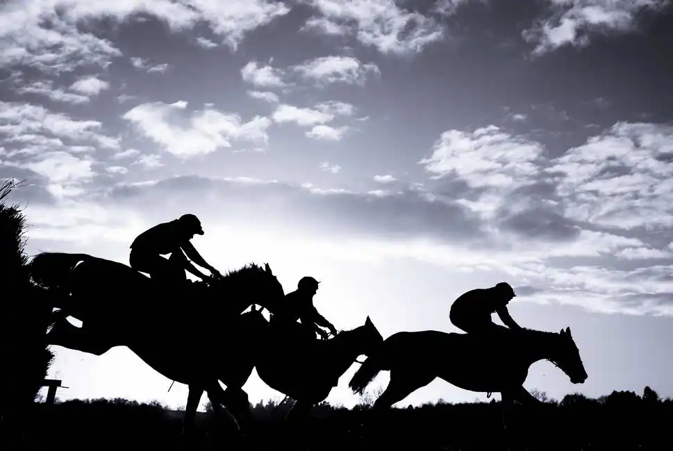 Unknown: Return to the barrier (horses)
