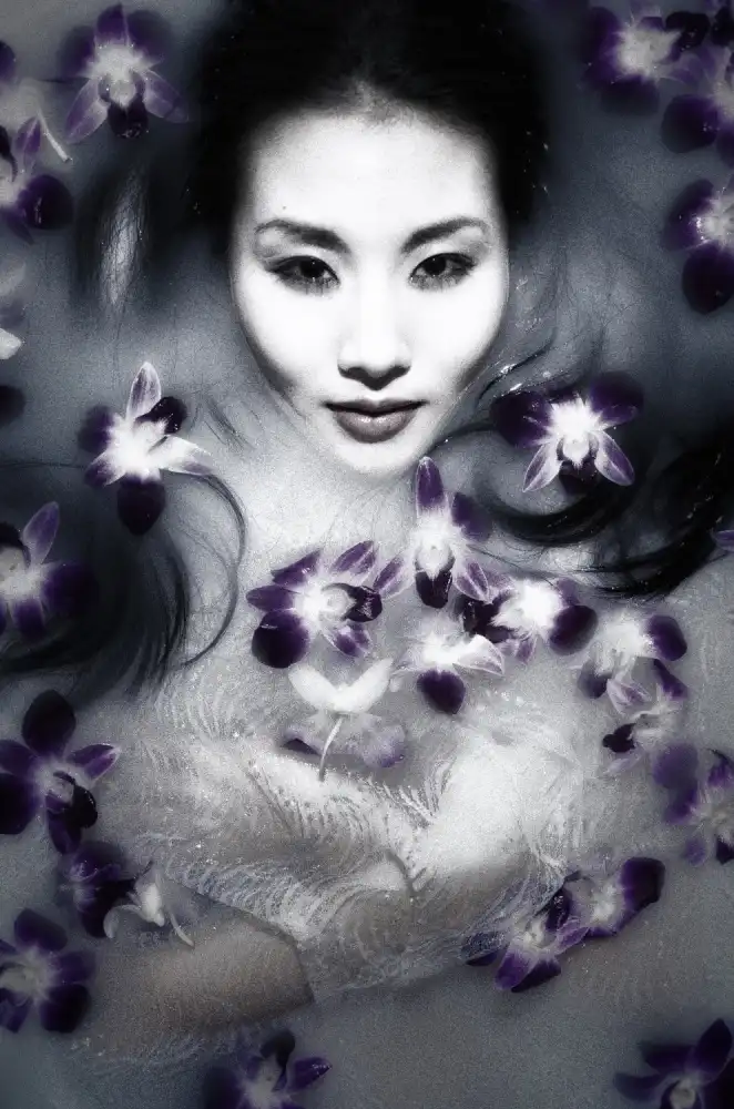 Yamada, Shinichiro: fleur