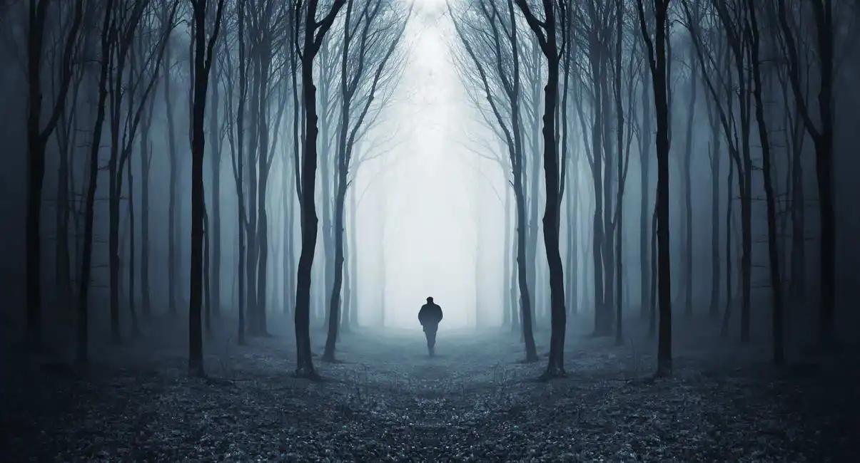 Neznámý: Muž v pohádkovém lese