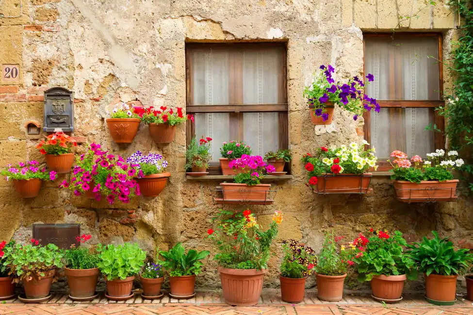 Neznámý: Okna s květinami, Itálie