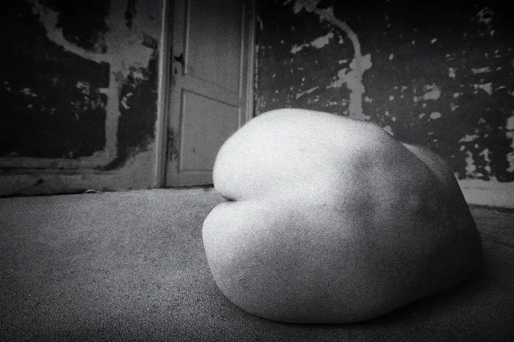 Dirven, Ton: The butt