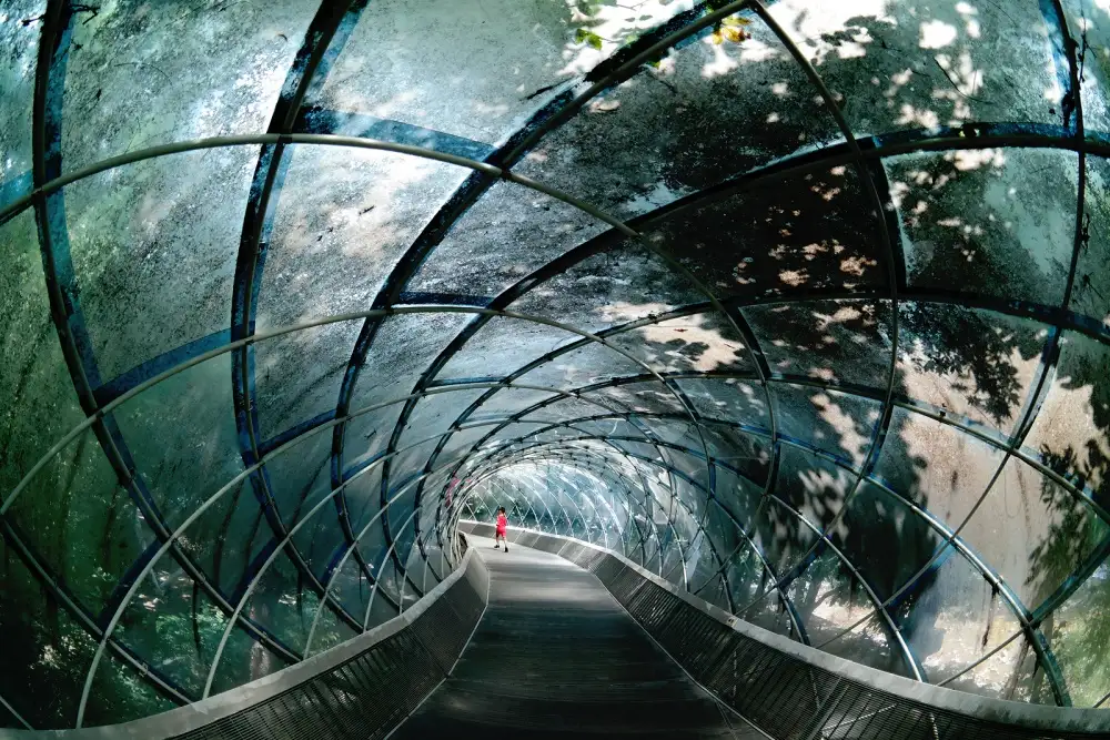 hee, dong HAN: Attraverso l'arco
