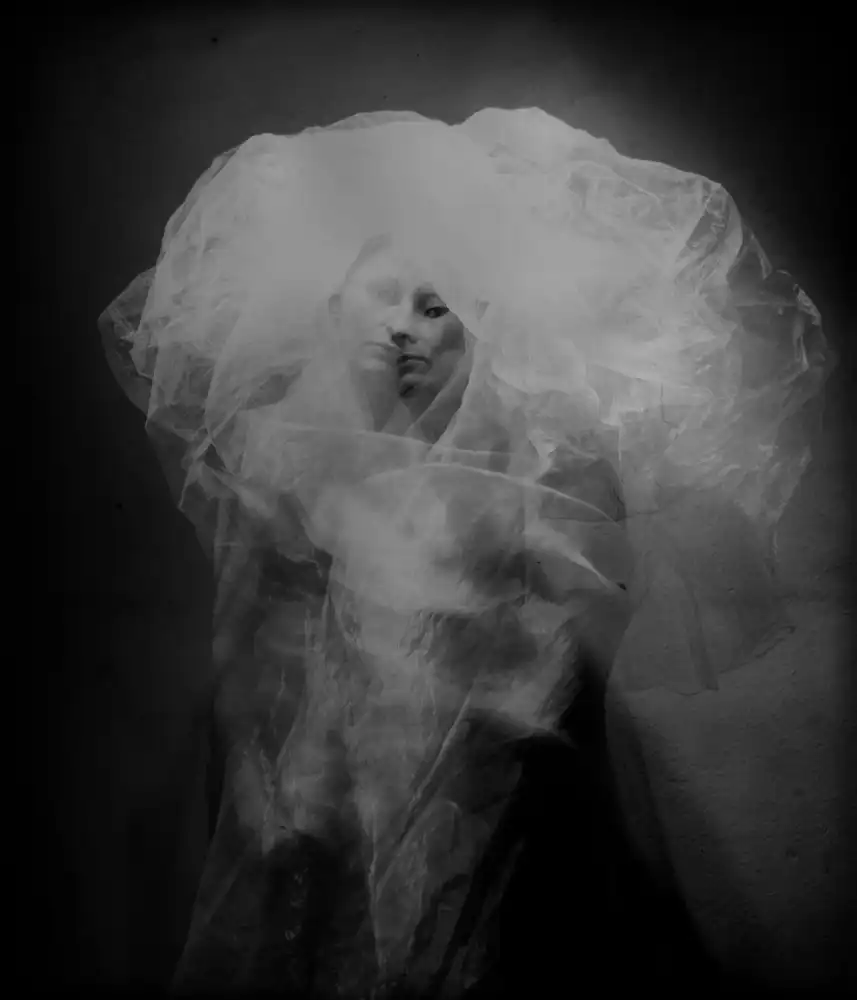 Vasiliev-Apostol,,,, Yaroslav,,,: Meduse