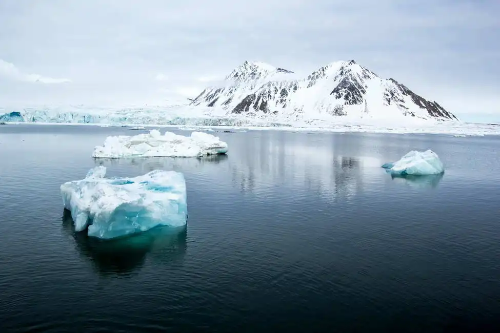Neznámý: Arktické jaro v jižních Špicberkách