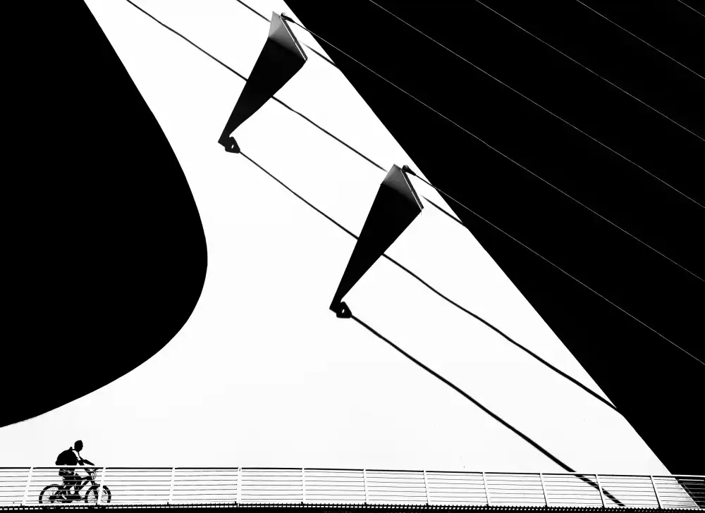 Landolt, Susanne: Crossing