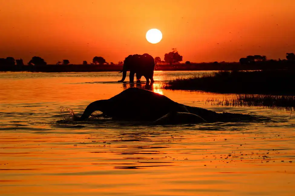 Neznámý: Západ slunce na řece Chobe, Botswana