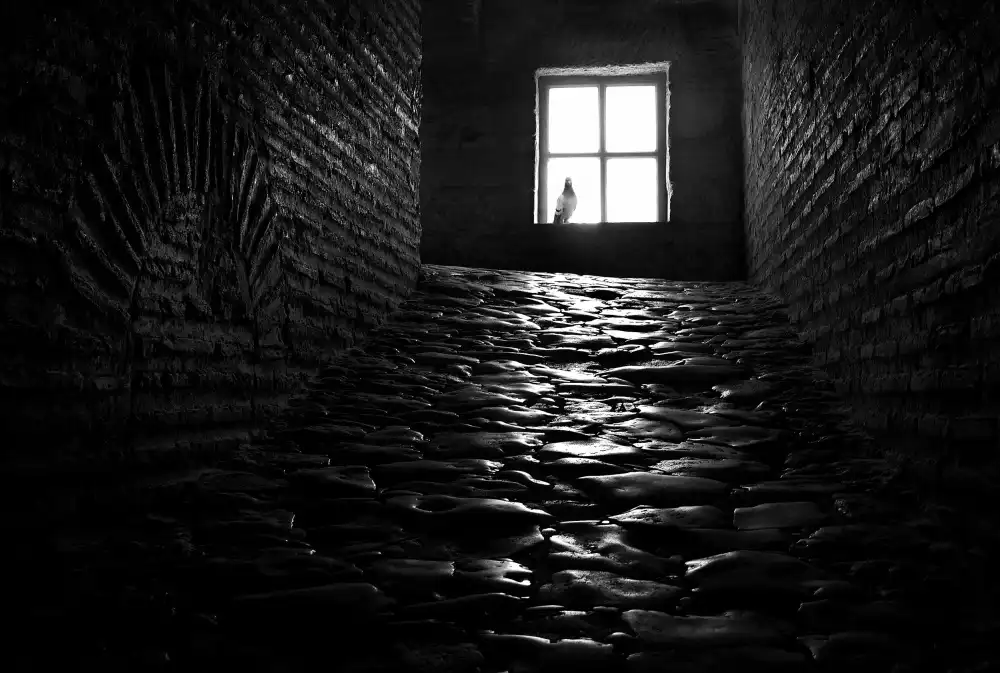 Urlings, Lou: The window