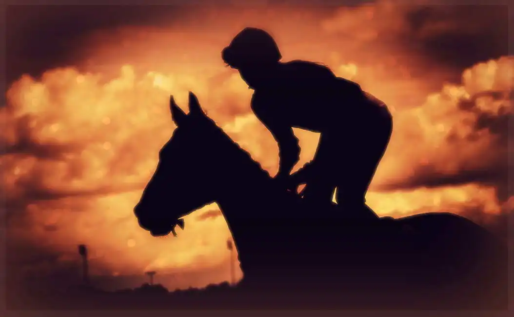 Unknown: Thoroughbred jockey