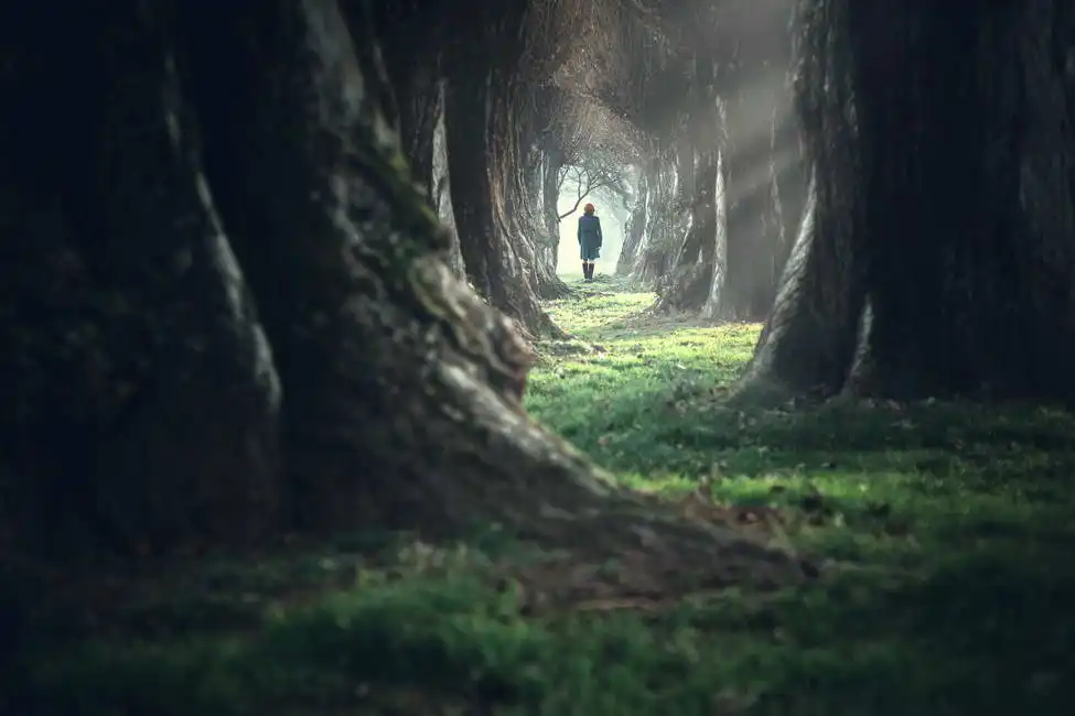 Unknown: Dans la forêt profonde