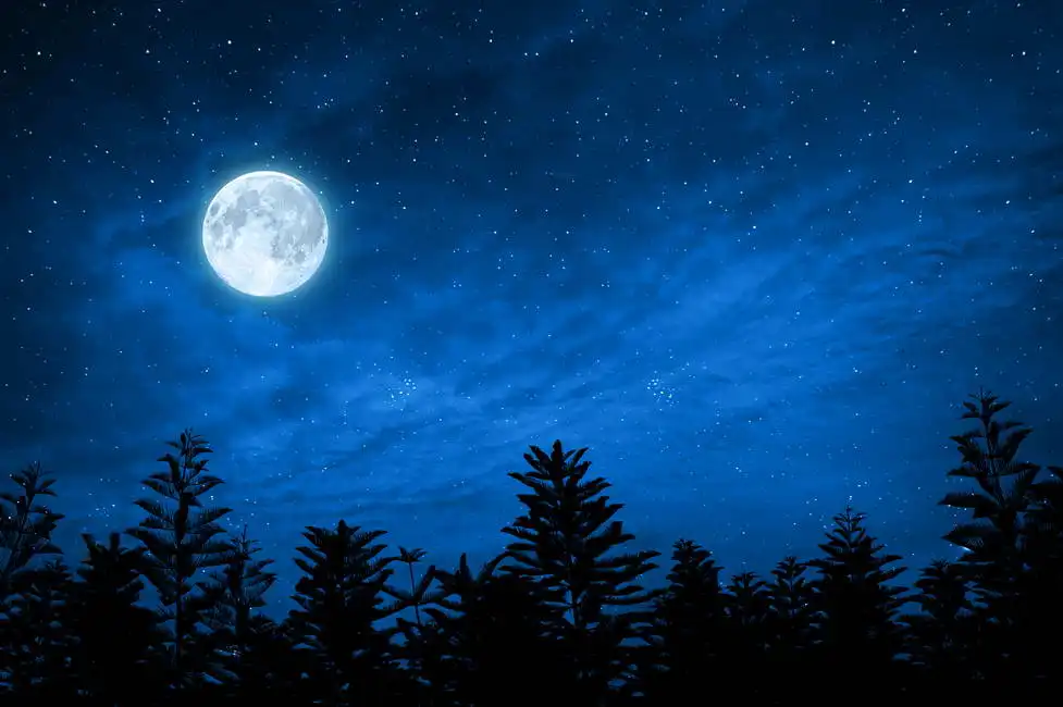 Unknown: Pleine lune