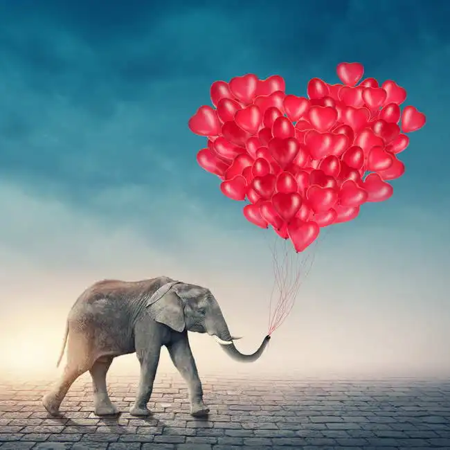 Neznámý: Slon s červenými balónky