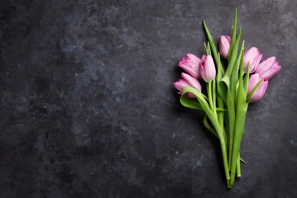 Neznámý: Tulipány