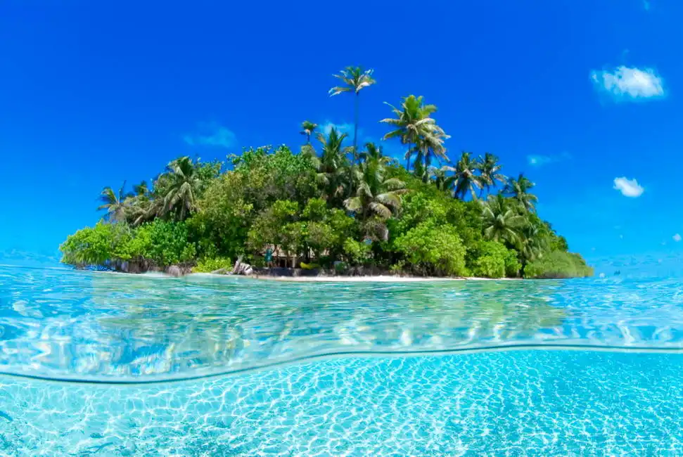 Neznámý: Tropický ostrov