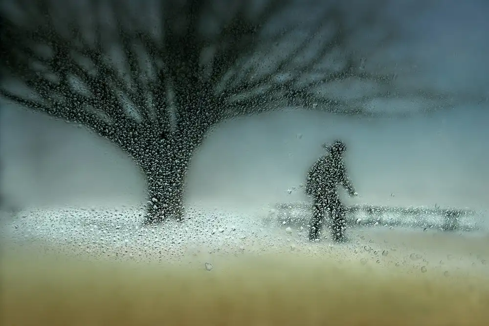 Dou, Shenshen: Hombre en la naturaleza - Invierno