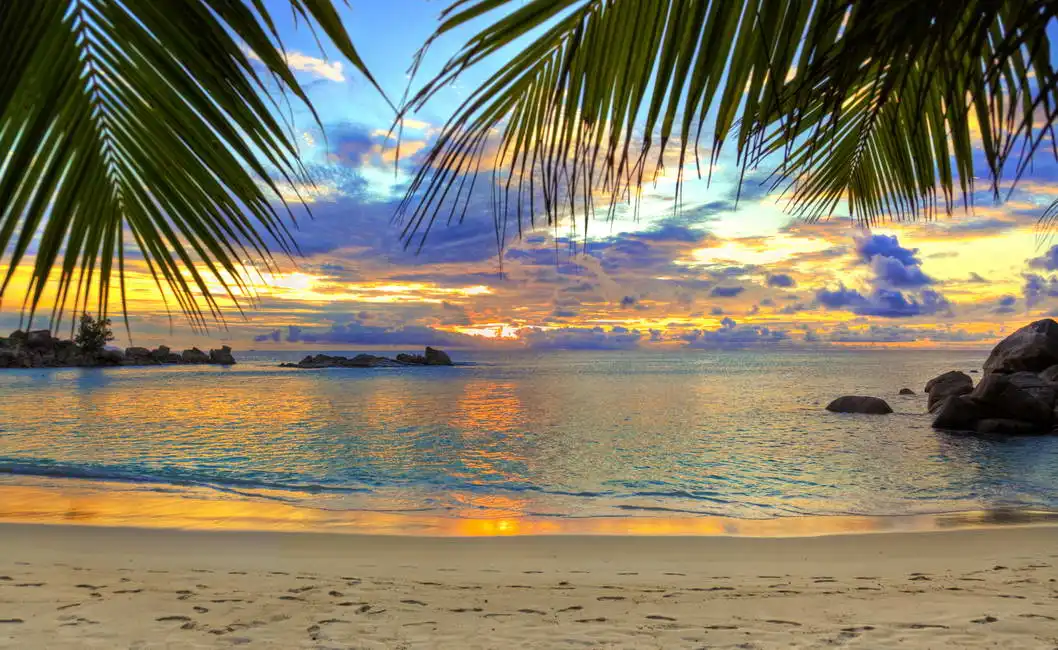 Neznámý: Tropická pláž při západu slunce