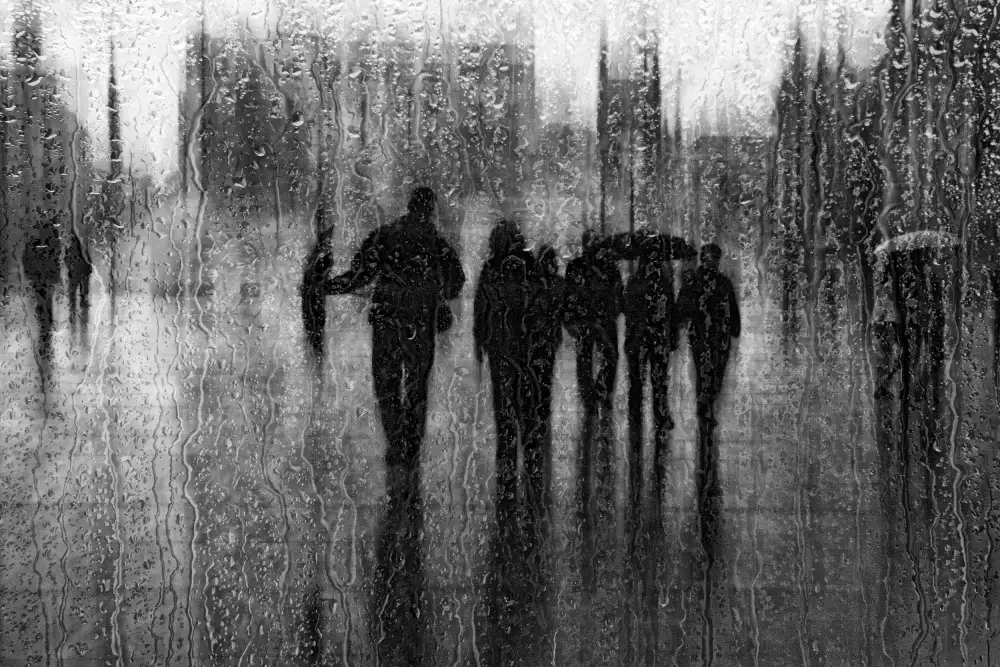 Schleicher-Schwarz, Roswitha: dopo la pioggia