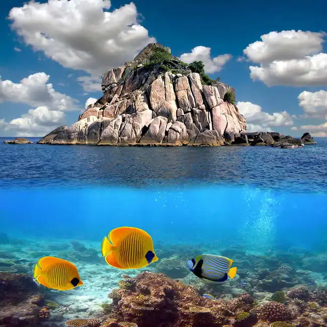 Neznámý: Tropický ráj a korály, ostrov Koh Tao, Thajsko