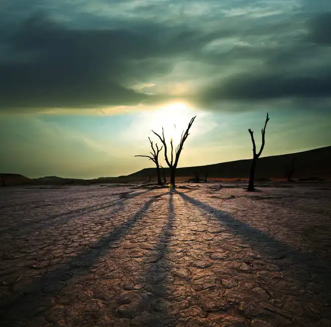 Neznámý: Dead valley v Namibii