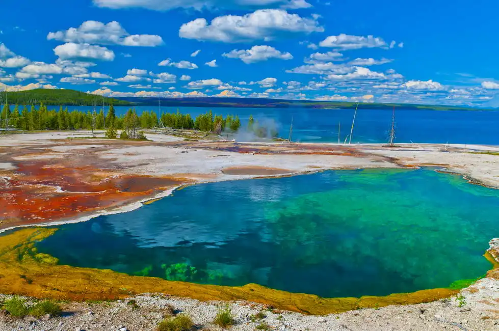 Unknown: Bassin des geysers du pouce ouest, Yellowstone