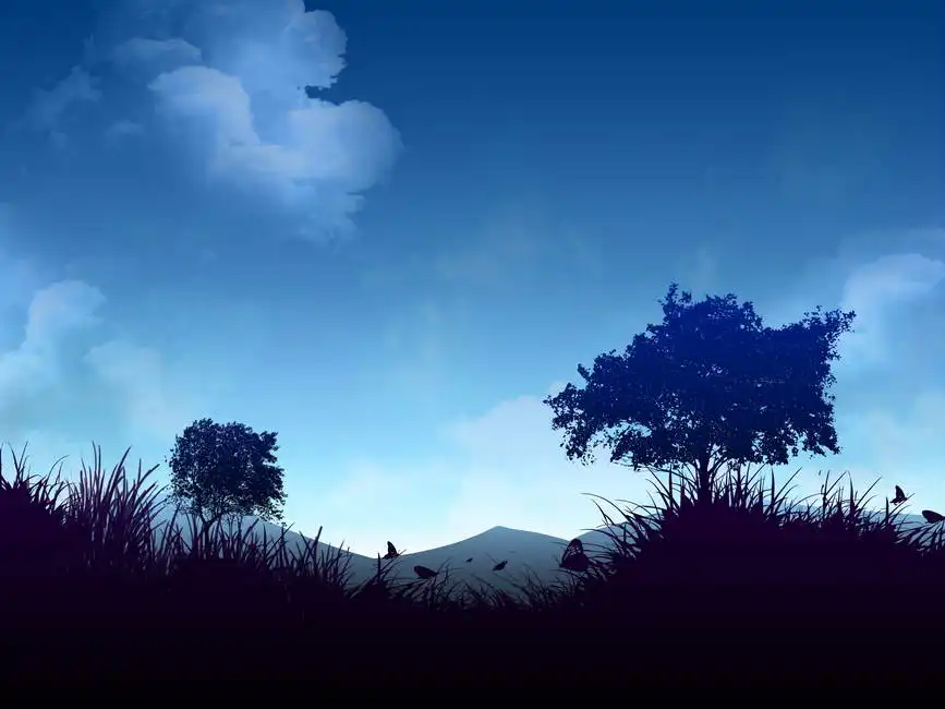 Unknown: Paysage nocturne magique