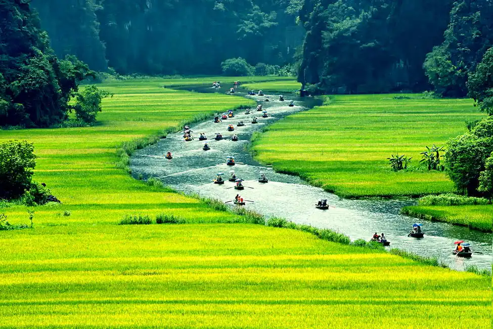 Unknown: Reisfelder und Fluss NinhBinh, Vietnam