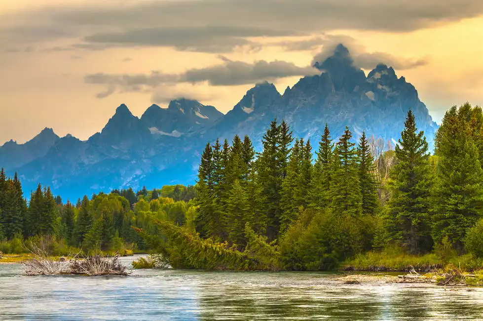 Unknown: Automne dans le parc national des Grand Tetons, Wyoming