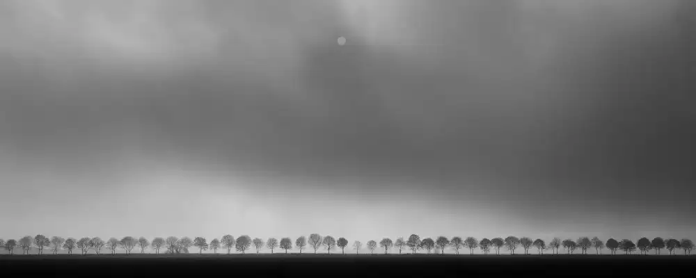 Limberg, Huib: Polderlandscape