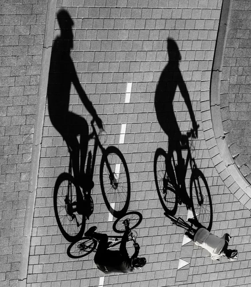 Hoog, de Roelof: Ombres en mouvement