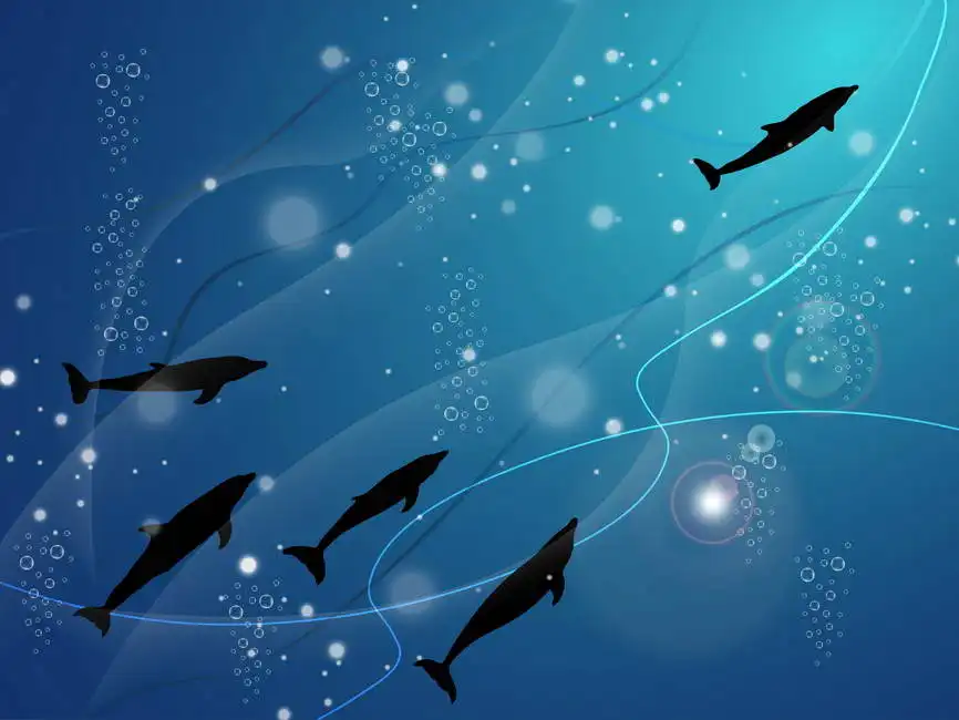 Unknown: Silhouettes of dolphins