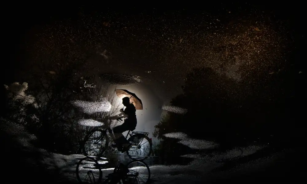 Grambone, Antonio: Pedalare in bicicletta...