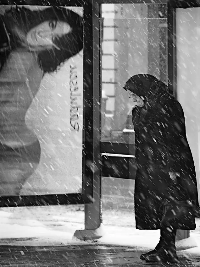 Gabor, Nicoleta: Winterpassagiere