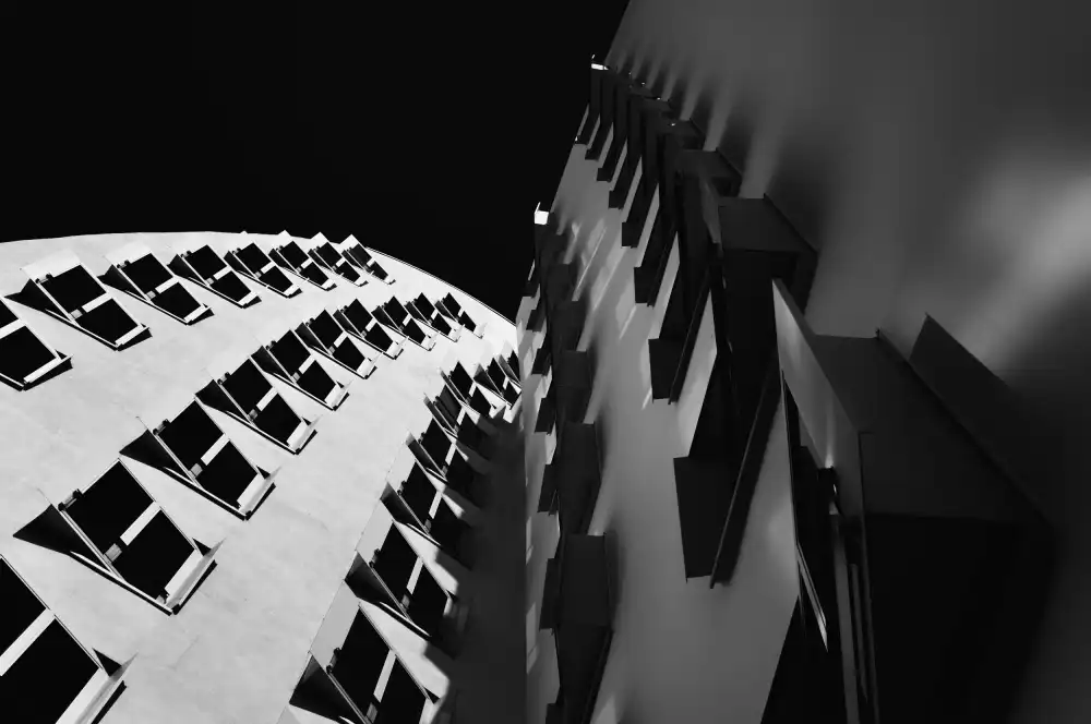 Son, van Greetje: Gehry