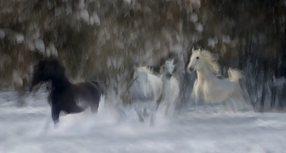 Malovrh, Milan: divertimento sulla neve