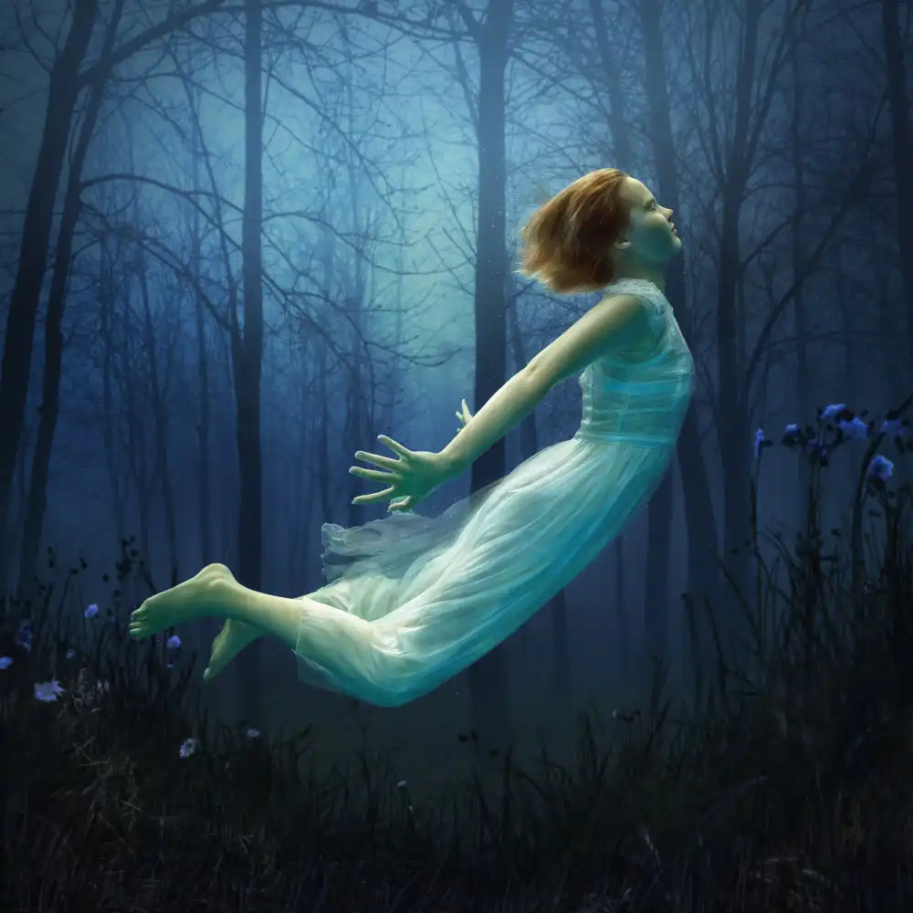 Laudin, Dmitry: Cuento de la noche.