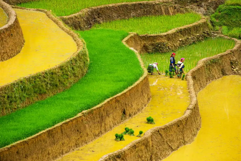 Unknown: Mu Cang Chai, Vietnam