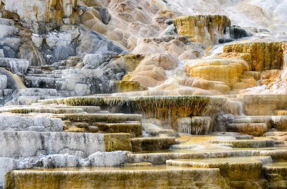 Unknown: Mammoth Hot Springs, parc national de Yellowstone