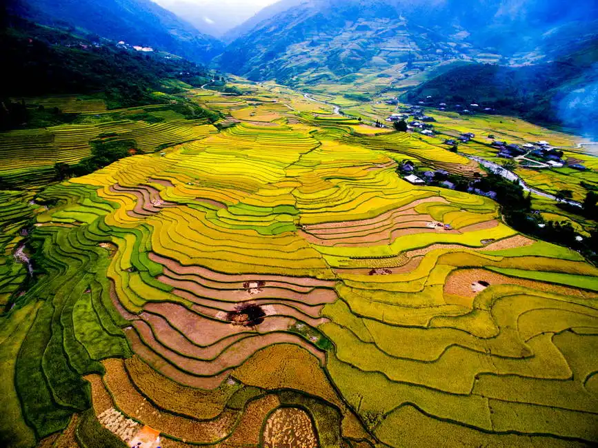 Unknown: Rizière pendant la récolte à Mu Cang Chai, Vietnam