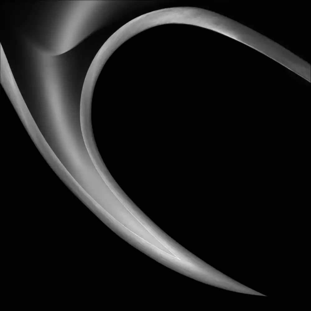 Claes, Gilbert: The HorN