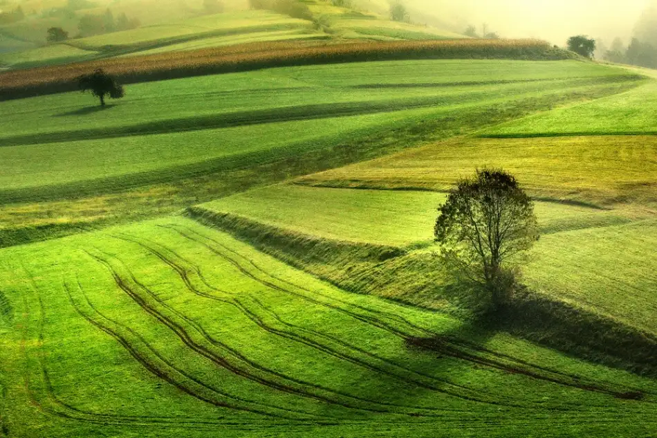 Kravanja, Jure: Mattinata nel verde