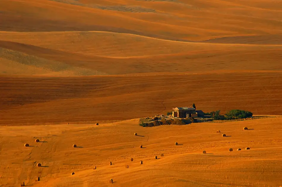 Kravanja, Jure: Gold horizon