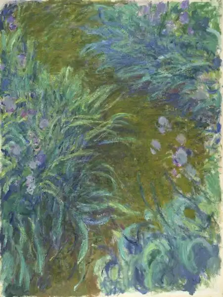 Monet, Claude: Kosatce