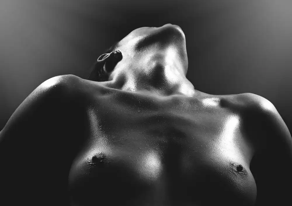 Kiss, Jozef: Belleza