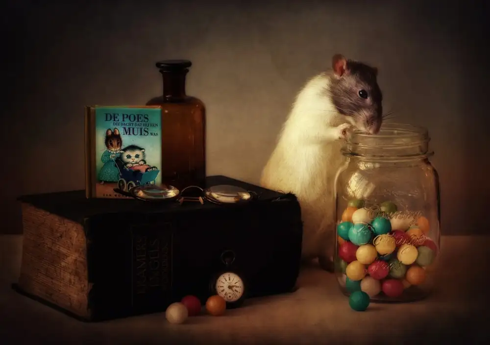 Deelen, van Ellen: Gumballs (Published in the new 1X Book Memento.)