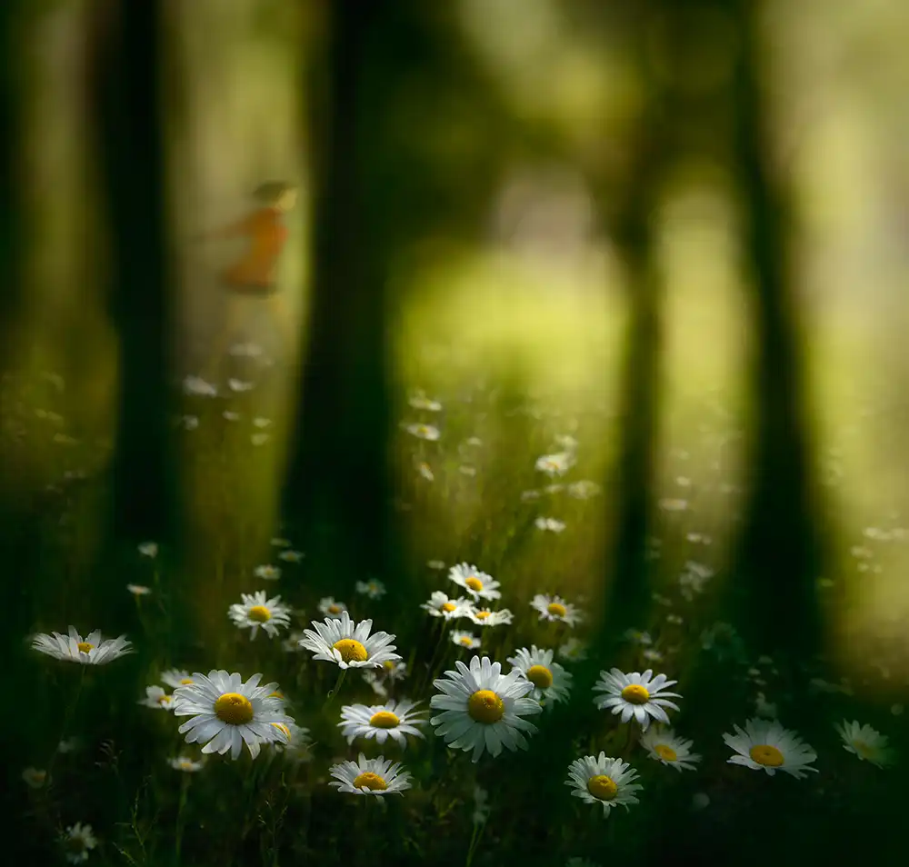 Dou, Shenshen: En el bosque