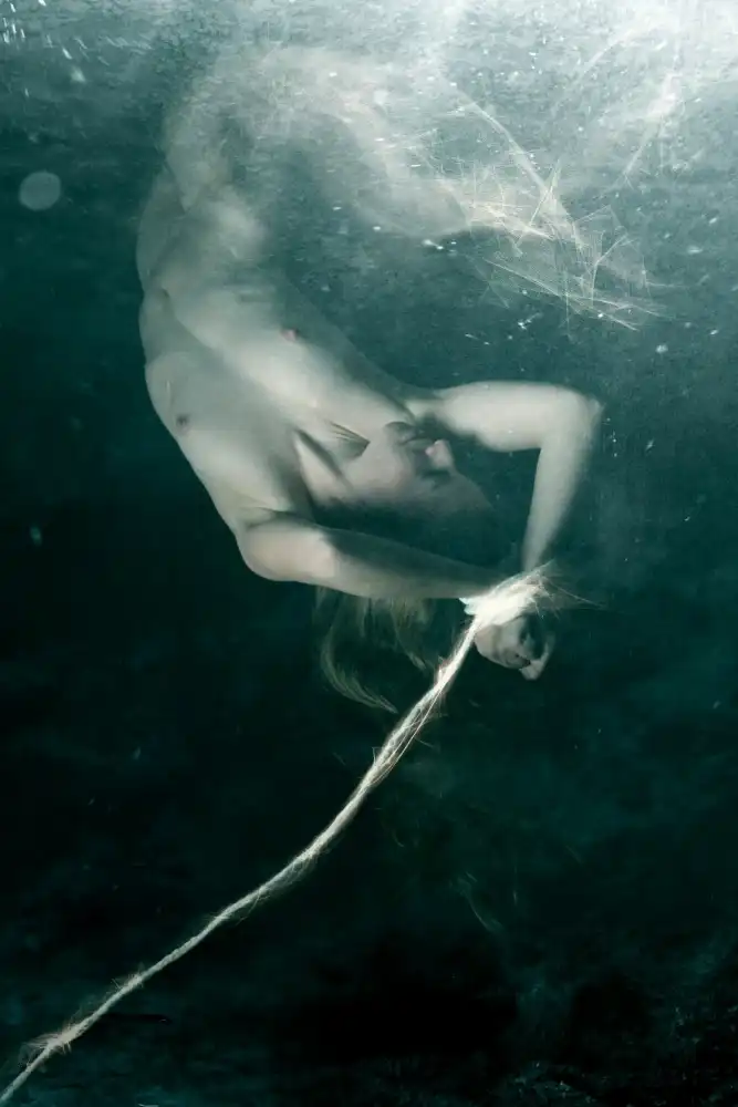 Mest, Olga: dreams on leash