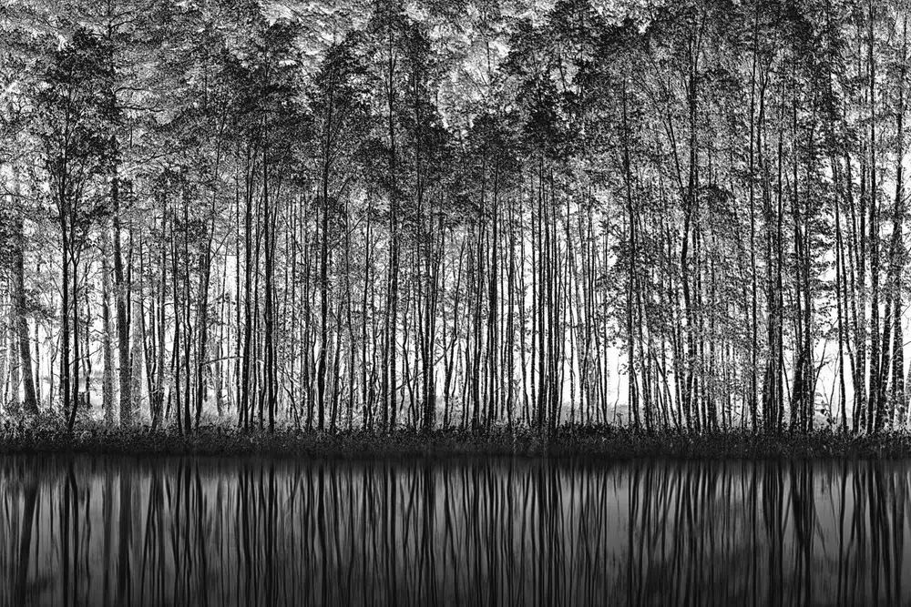 Schleicher-Schwarz, Roswitha: Puntinismo Natura