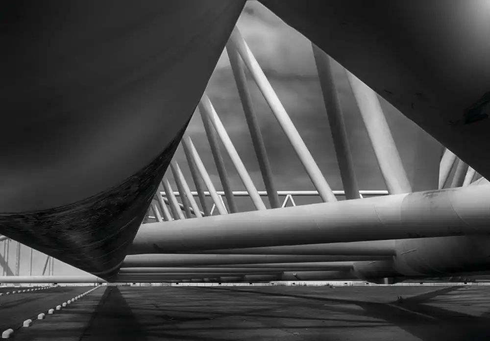 Son, van Greetje: Protezione.