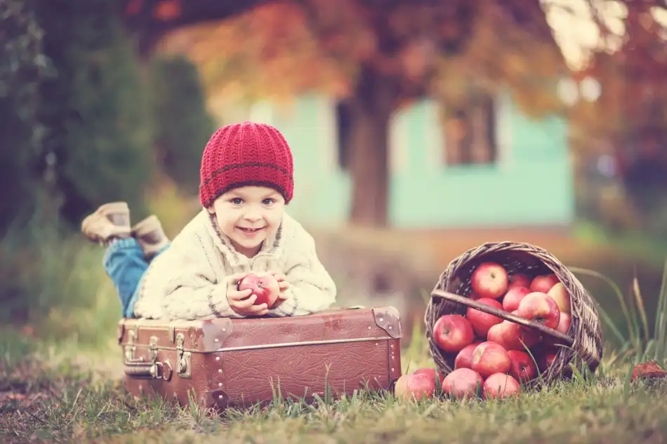 Tomsickova, Tatyana: Temporada de manzanas
